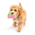 Huxley & Kent Tiny Tuff Walter Melon Dog Toy - Poudre Pet & Feed Supply 5