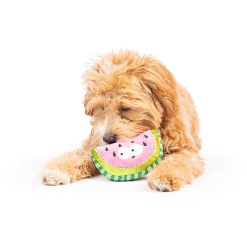 Huxley & Kent Tiny Tuff Walter Melon Dog Toy - Poudre Pet & Feed Supply 6