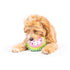 Huxley & Kent Tiny Tuff Walter Melon Dog Toy - Poudre Pet & Feed Supply 6