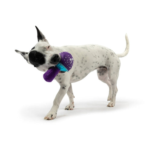 Huxley & Kent Tiny Tuff Mellow Mushroom Dog Toy - Poudre Pet & Feed Supply 5