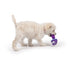 Huxley & Kent Tiny Tuff Mellow Mushroom Dog Toy