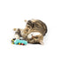 Huxley & Kent Caterpillar Cat Toy - Poudre Pet & Feed Supply 2