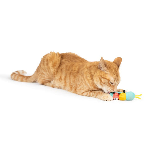 Huxley & Kent Caterpillar Cat Toy - Poudre Pet & Feed Supply 3