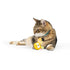 Huxley & Kent Bumble Bee Flinger Cat Toy - Poudre Pet & Feed Supply 2