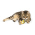 Huxley & Kent Bumble Bee Flinger Cat Toy - Poudre Pet & Feed Supply 3