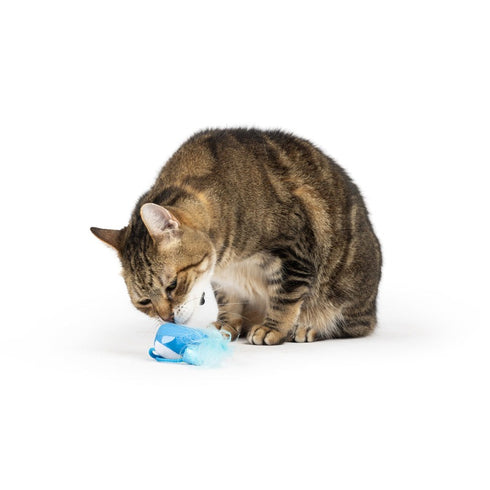 Huxley & Kent Blue Bird Chirpy Cat Toy - Poudre Pet & Feed Supply 2