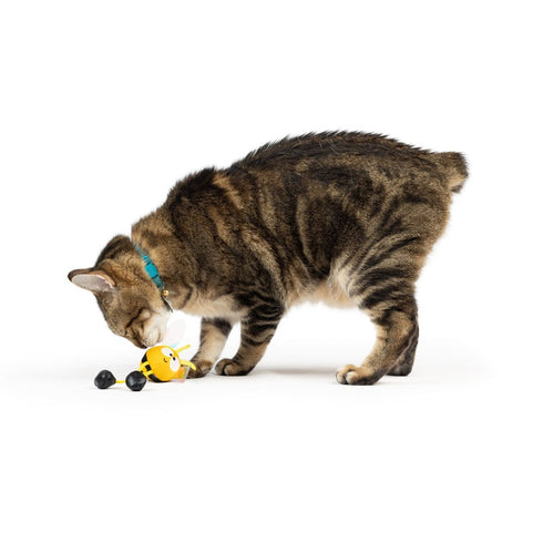 Huxley & Kent Bumble Bee Chirpy Cat Toy - Poudre Pet & Feed Supply 2