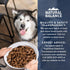 Natural Balance Health Protection Lamb Rice & Pumpkin Dry Dog Food 4lb - Poudre Pet & Feed Supply 7
