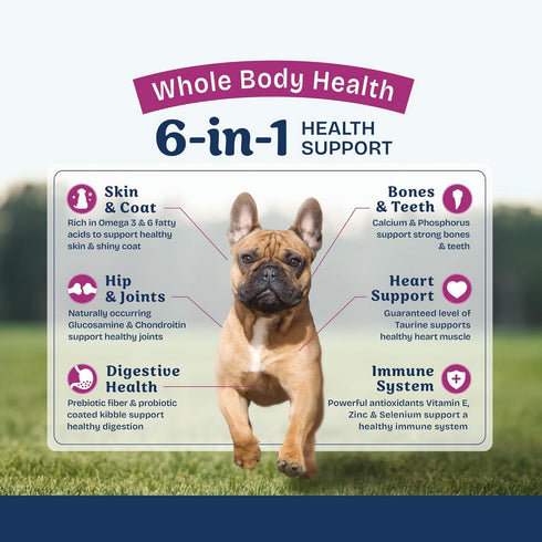 Natural Balance Health Protection Small Breed Chicken Rice & Pumpkin Dry Dog Food 4lb - Poudre Pet & Feed Supply 4