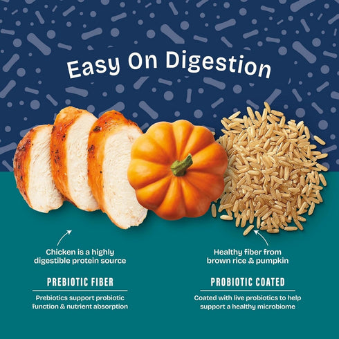 Natural Balance Puppy Dry Dog Food - Chicken Brown Rice & Pumpkin - 4lb