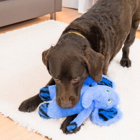 KONG Jungle Jamz Elephant Plush Dog Toy M/L Blue - Poudre Pet & Feed Supply 2
