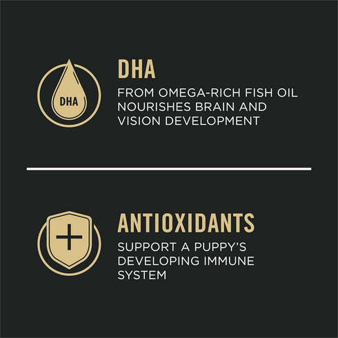 Pro Plan Puppy Chicken & Rice Formula Dry Dog Food 6lb - Poudre Pet & Feed Supply 2