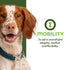Fromm Nutritionals Mobility Dog Food Supplement 13oz - Poudre Pet & Feed Supply 2
