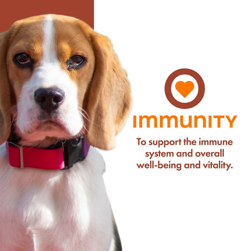 Fromm Nutritionals Immunity Dog Food Supplement 13oz - Poudre Pet & Feed Supply 2