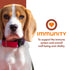 Fromm Nutritionals Immunity Dog Food Supplement 13oz - Poudre Pet & Feed Supply 2