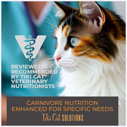 Tiki Cat Solutions Skin & Coat Salmon Herring Dry Cat Food 2.8lb - Poudre Pet & Feed Supply 7