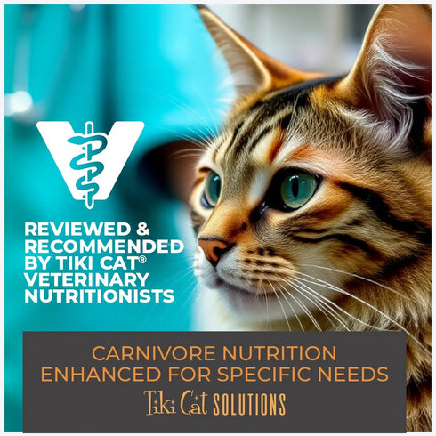 Tiki Cat Solutions Mobility Baked Kibble Chicken Turkey Dry Cat Food 2.8lb - Poudre Pet & Feed Supply 7