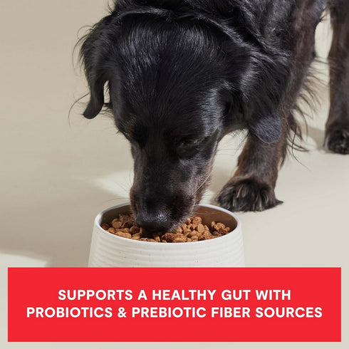 Open Farm Epic Blend Beef & Superfood Dry Dog Food 18lb - Poudre Pet & Feed Supply 3