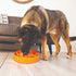 KONG Licks Mealtime Large Orange - Poudre Pet & Feed Supply 4