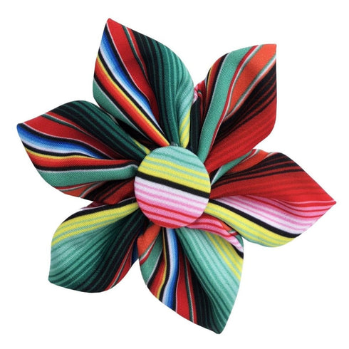 Huxley & Kent Pinwheel Large Serape Stripe Poudre Pet & Feed Supply