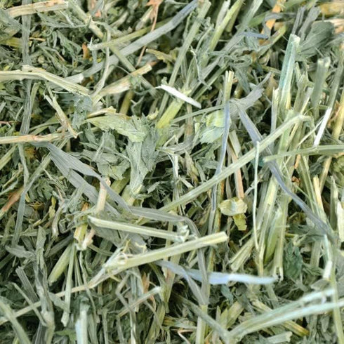 Oxbow Alfalfa Hay 40oz - Poudre Pet and Feed Supply