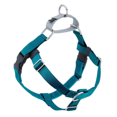 2 Hounds Design Freedom No-Pull Dog Harness Teal 1"M 24"28" - Poudre Pet and Feed Supply