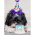 Huxley & Kent Party Hat Happy Barkday Large Purple Poudre Pet & Feed Supply 5