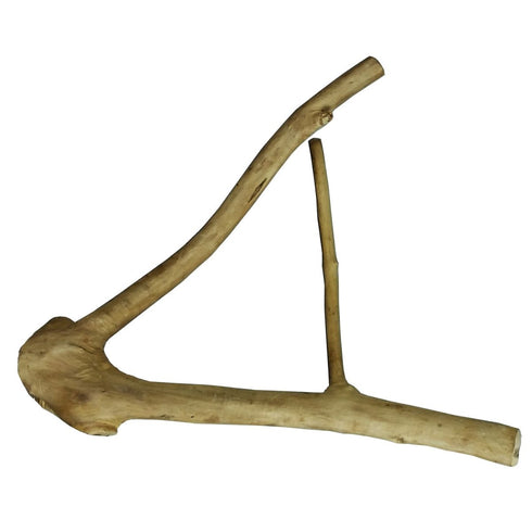 A&E Small Java Wood Multi Branch Perch - Poudre Pet & Feed Supply