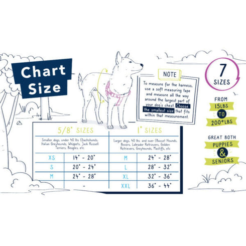 2 Hounds Design Freedom No-Pull Dog Yellow 5/8"S 20"24" - Poudre Pet and Feed Supply