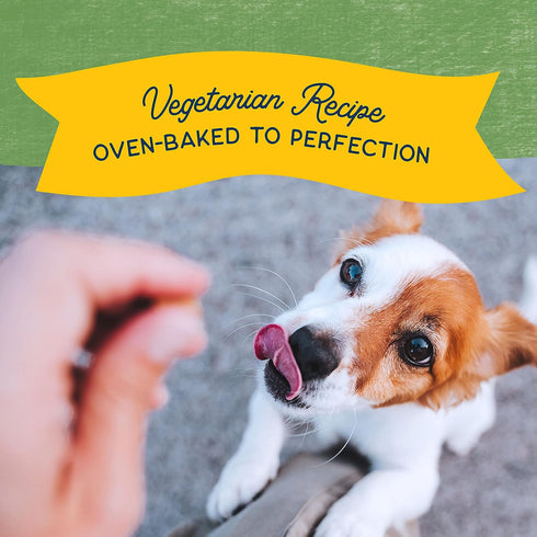 Natural Balance Rewards Crunchy Biscuits With Peanut Butter Small Breed Dog Treats 8oz - Poudre Pet and Feed Supply