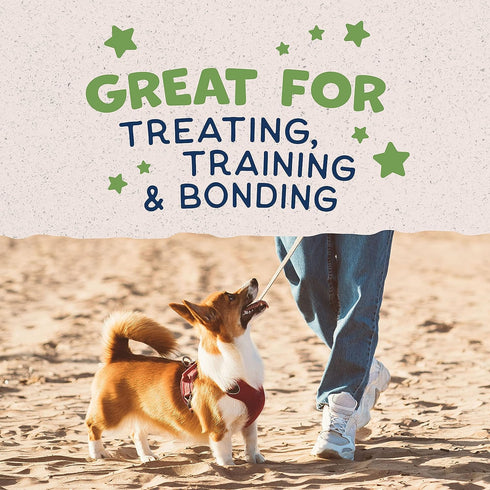 Natural Balance Rewards Crunchy Biscuits With Peanut Butter Small Breed Dog Treats 8oz - Poudre Pet and Feed Supply