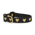Up Country Heart of Gold Dog Collar X-Small 5/8" Width - Poudre Pet & Feed Supply