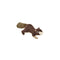 Tall Tails Plsh Brown Squirrel 12" Dog Toy - Poudre Pet and Feed Supply