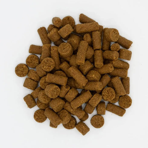 Oxbow Real Prey Rewards Chicken Ferret Treats - Poudre Pet and Feed Supply