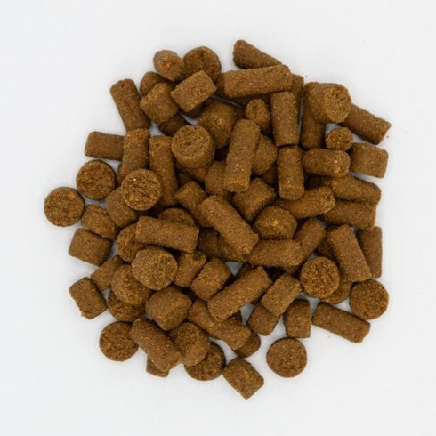 Oxbow Real Prey Rewards Turkey Ferret Treats 3oz - Poudre Pet and Feed Supply