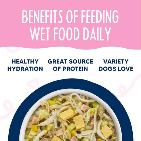 Weruva Meals n More Bed and Breakfast Digestive Support Wet Dog Food 3.5oz - Poudre Pet and Feed Supply