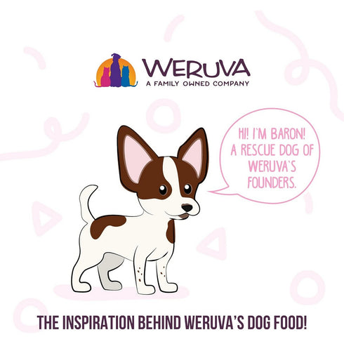 Weruva Meals n More Bed and Breakfast Digestive Support Wet Dog Food 3.5oz - Poudre Pet and Feed Supply