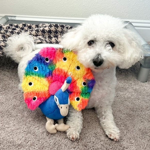 Tall Tails Plush Peacock 9" Durable Dog Toy