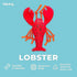 Fabdog Floatie Lobster Dog Toy