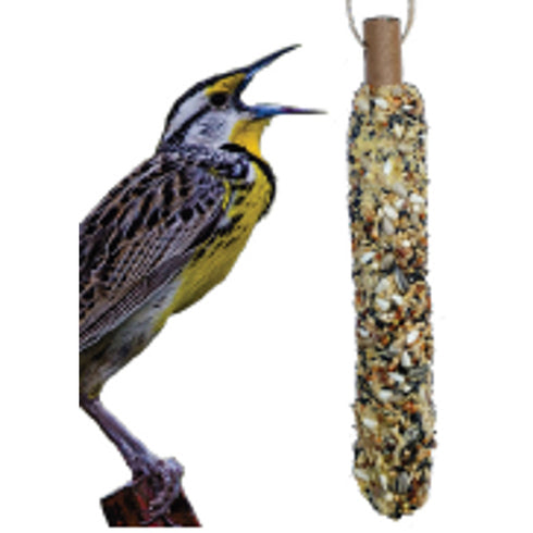 A&E Songbird Seed Stick - Poudre Pet and Feed Supply