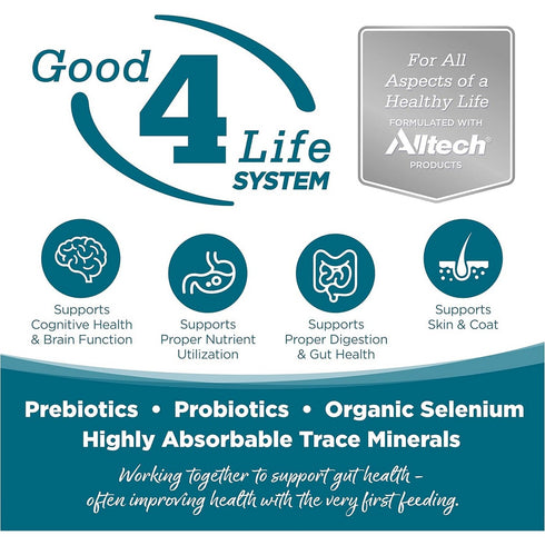 NutriSource Grain Free Chicken & Pea Dry Dog Food 26lb - Poudre Pet and Feed Supply