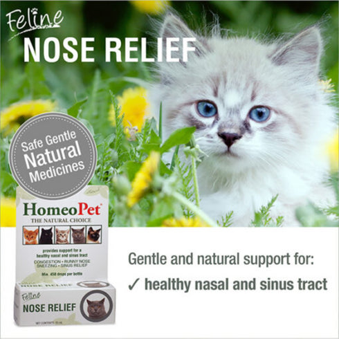 Homeo Pet Feline Nose Relief 15ml
