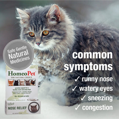 Homeo Pet Feline Nose Relief 15ml