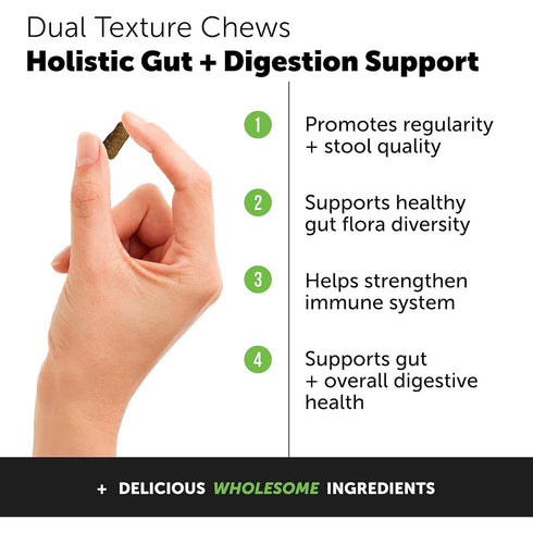 Pet Honesty Probiotics Gut Immune Health Chews Chicken Cat Treats 3.7oz poudrefeed.com 3