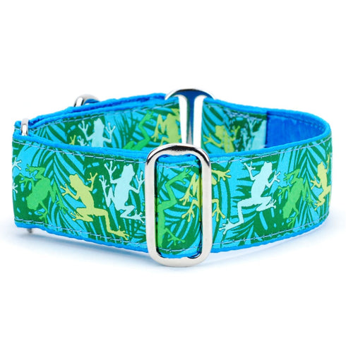 2Hounds Design Coqui Surf – Exclusive Dog Collar XL - Poudre Pet & Feed Supply
