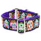 2Hounds Design XOLO – Sugar Skull Dog Collar Small - Poudre Pet & Feed Supply