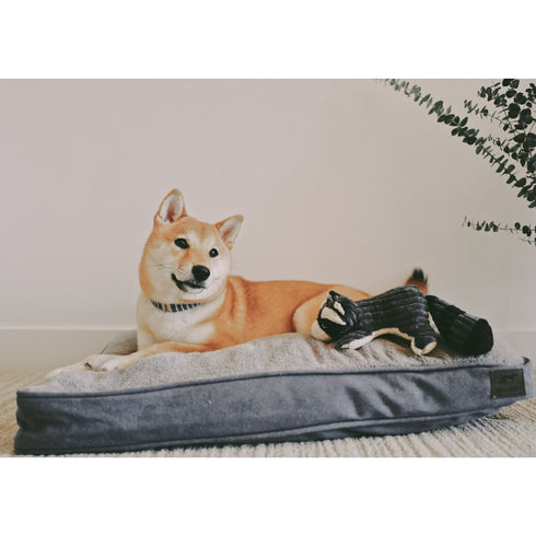 Tall Tails Cushion Charcoal Dog Bed Large