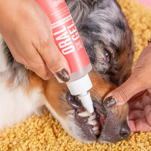 Skout’s Honor Oral Gel Peanut Butter Bacon 4oz - Poudre Pet and Feed Supply