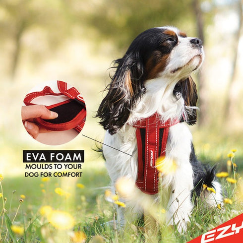 EzyDog Chest Plate Dog Harness XS Red - Poudre Pet & Feed Supply 3