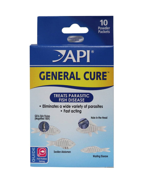 API General Cure Freshwater and Saltwater Fish Powder Medication 10-Count Box